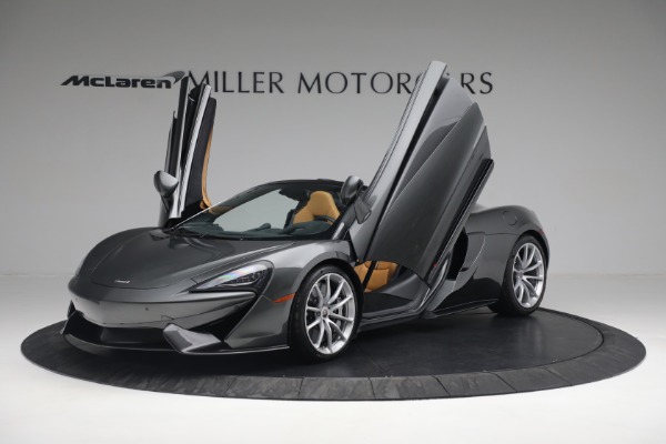 Used 2018 McLaren 570S Spider for sale Sold at Alfa Romeo of Greenwich in Greenwich CT 06830 20