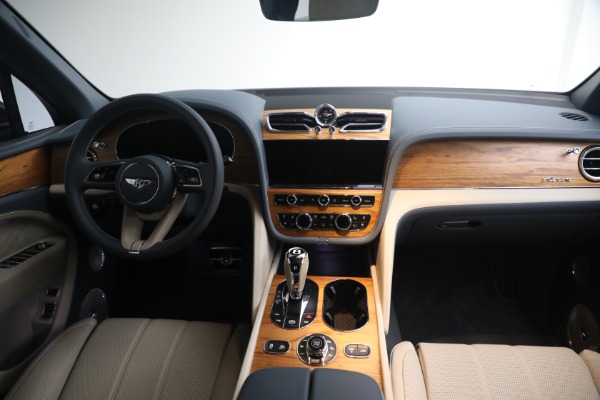 New 2023 Bentley Bentayga EWB Azure V8 for sale $251,900 at Alfa Romeo of Greenwich in Greenwich CT 06830 25